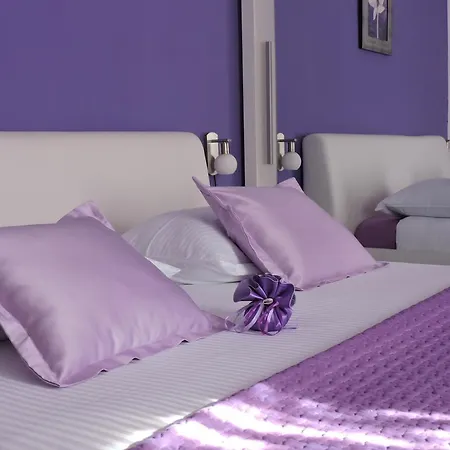& Stars Free Parking Guest house 4*
